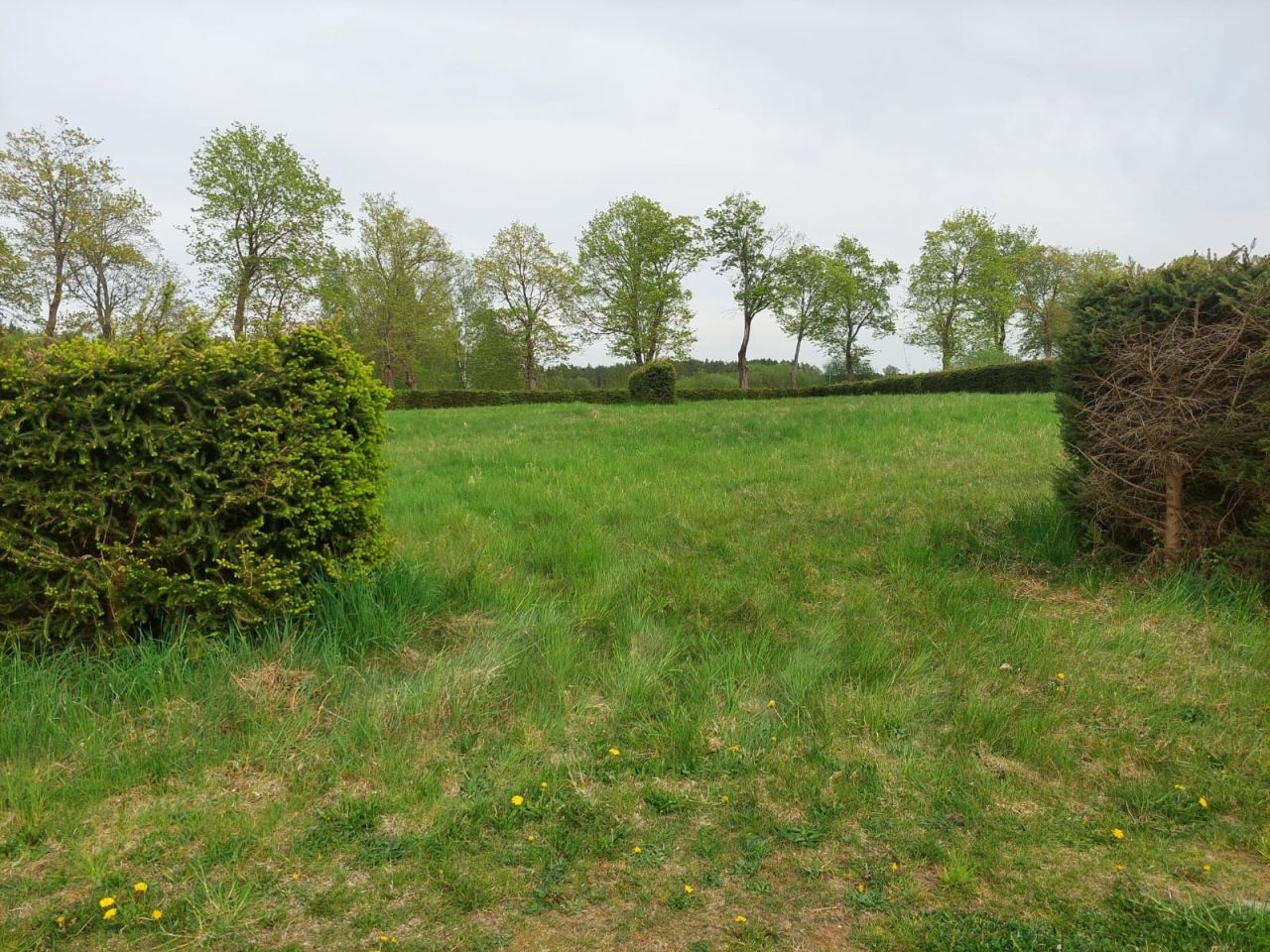 Działka rolna Gostyniec. Zdjęcie 6