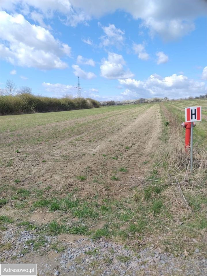 Działka budowlana Majdan Nepryski. Zdjęcie 2