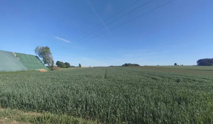 Działka budowlana Niedarzyno