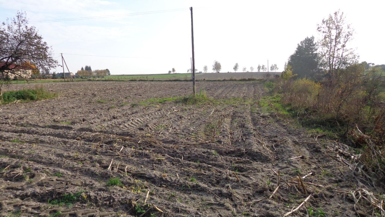 Działka rolno-budowlana Teremiec. Zdjęcie 12