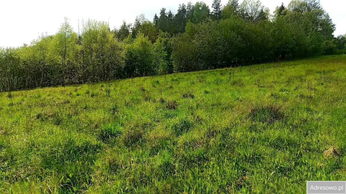 Działka budowlana Krzeszów. Zdjęcie 6