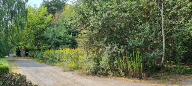 Działka budowlana Strzeniówka. Zdjęcie 1