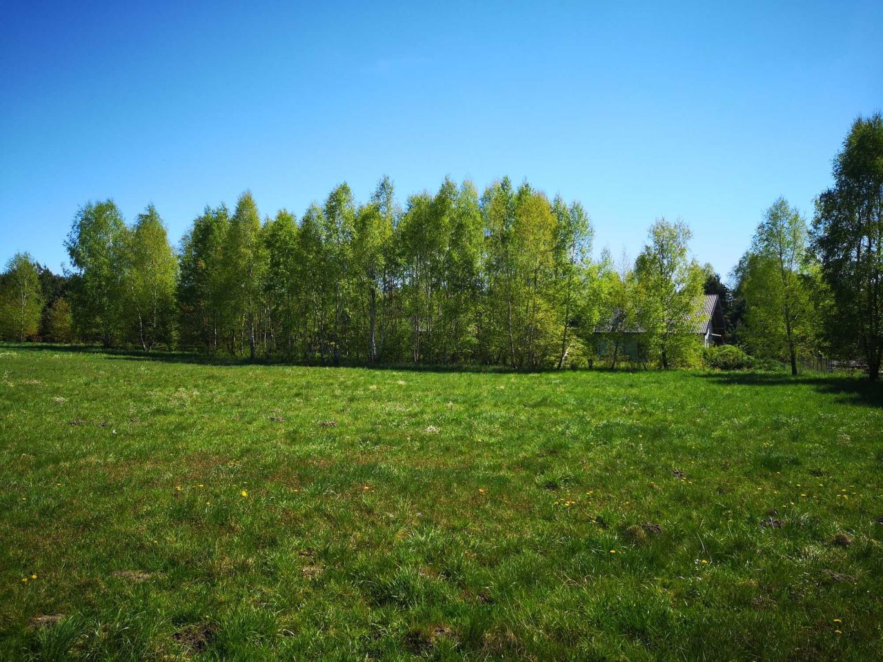 Działka rolno-budowlana Jasionka. Zdjęcie 6