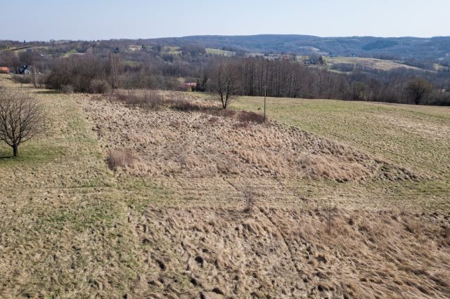 Działka Lubenia. Zdjęcie 3