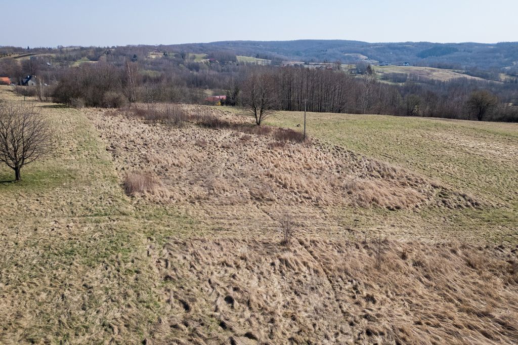 Działka Lubenia. Zdjęcie 3