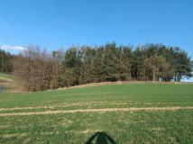 Działka rolna Niemienice. Zdjęcie 1