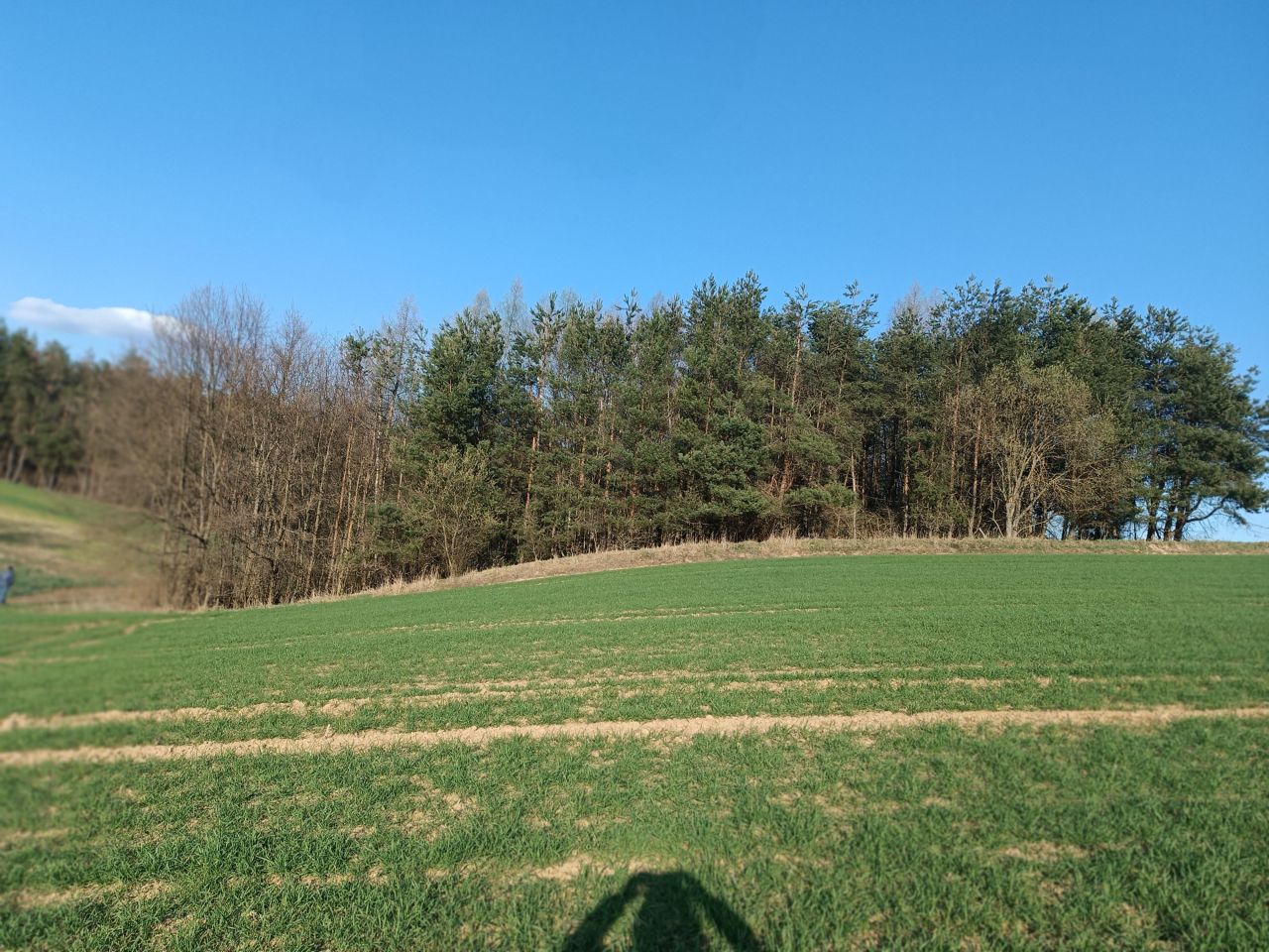 Działka rolna Niemienice. Zdjęcie 2