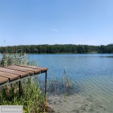 Działka leśna Anastazewo. Zdjęcie 4