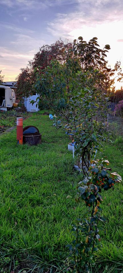 Działka rod Koszalin Centrum, ul. Mieszka I. Zdjęcie 5