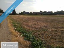 Działka rolno-budowlana Stasin. Zdjęcie 3