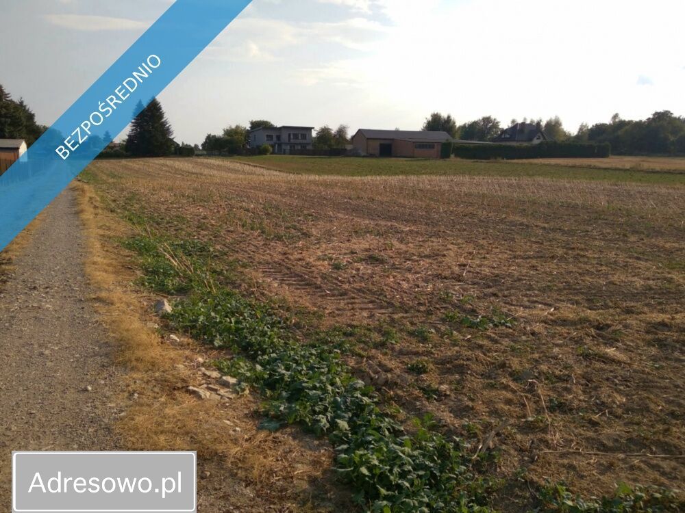 Działka rolno-budowlana Stasin. Zdjęcie 4