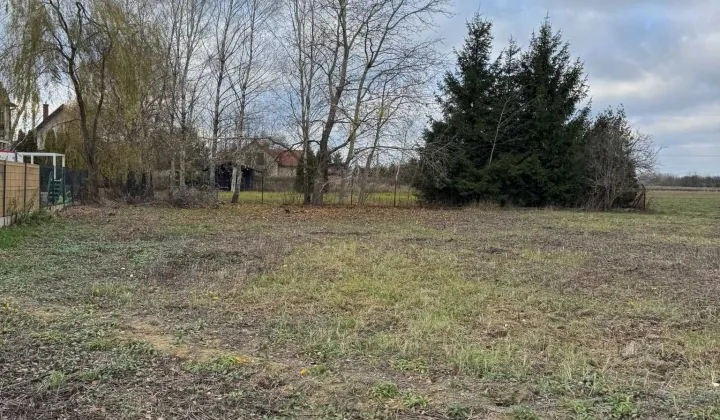 Działka budowlana Kolonia Lesznowola