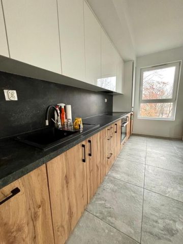 Mieszkanie 4-pokojowe Gliwice Śródmieście, ul. Górnych Wałów. Zdjęcie 5