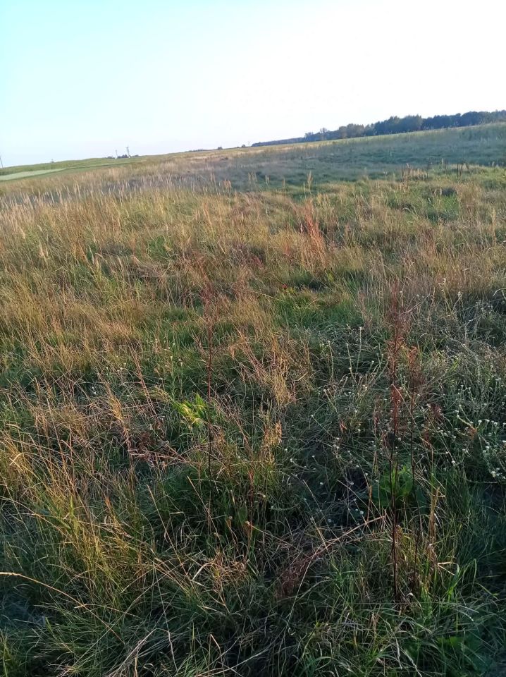 Działka rolno-budowlana Strzelce. Zdjęcie 2