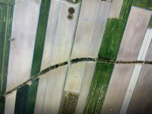 Działka rolno-budowlana Grądy. Zdjęcie 4