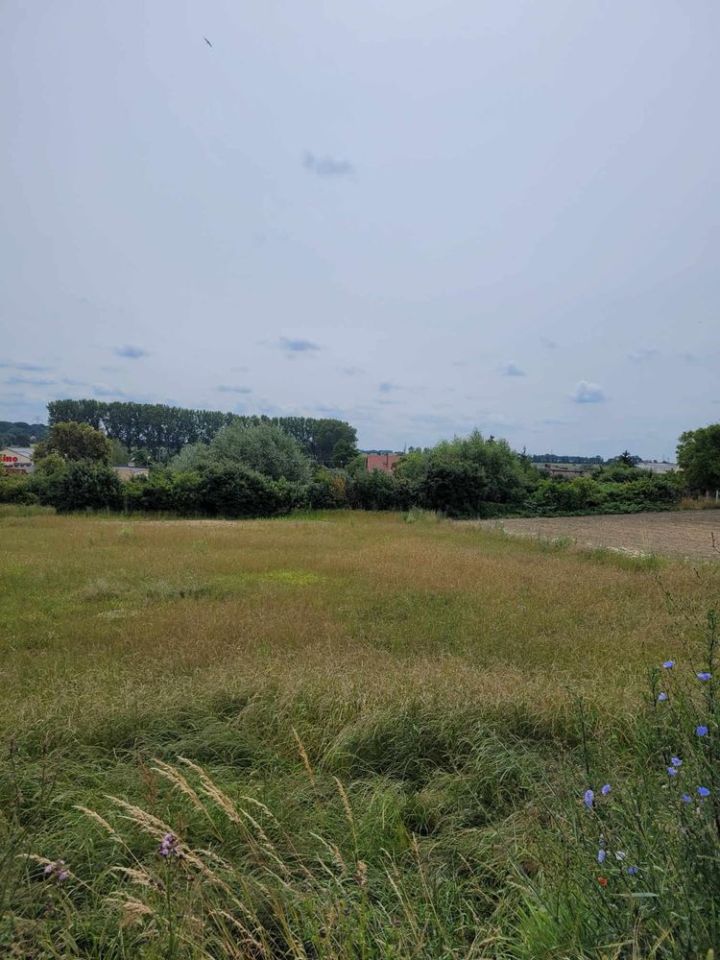 Działka budowlana Przysieka Polska. Zdjęcie 8