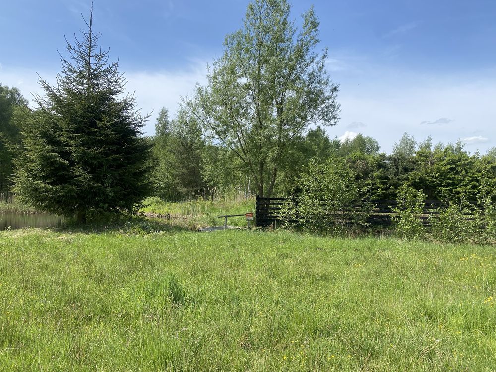 Działka rolna Makowo. Zdjęcie 3