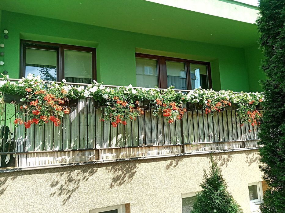 Mieszkanie 3-pokojowe Olszyna, ul. Kolejowa. Zdjęcie 6