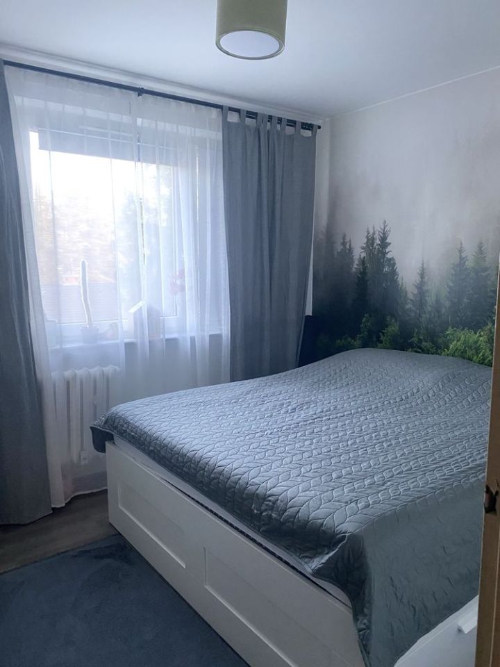 Mieszkanie 3-pokojowe Cieszyn. Zdjęcie 5