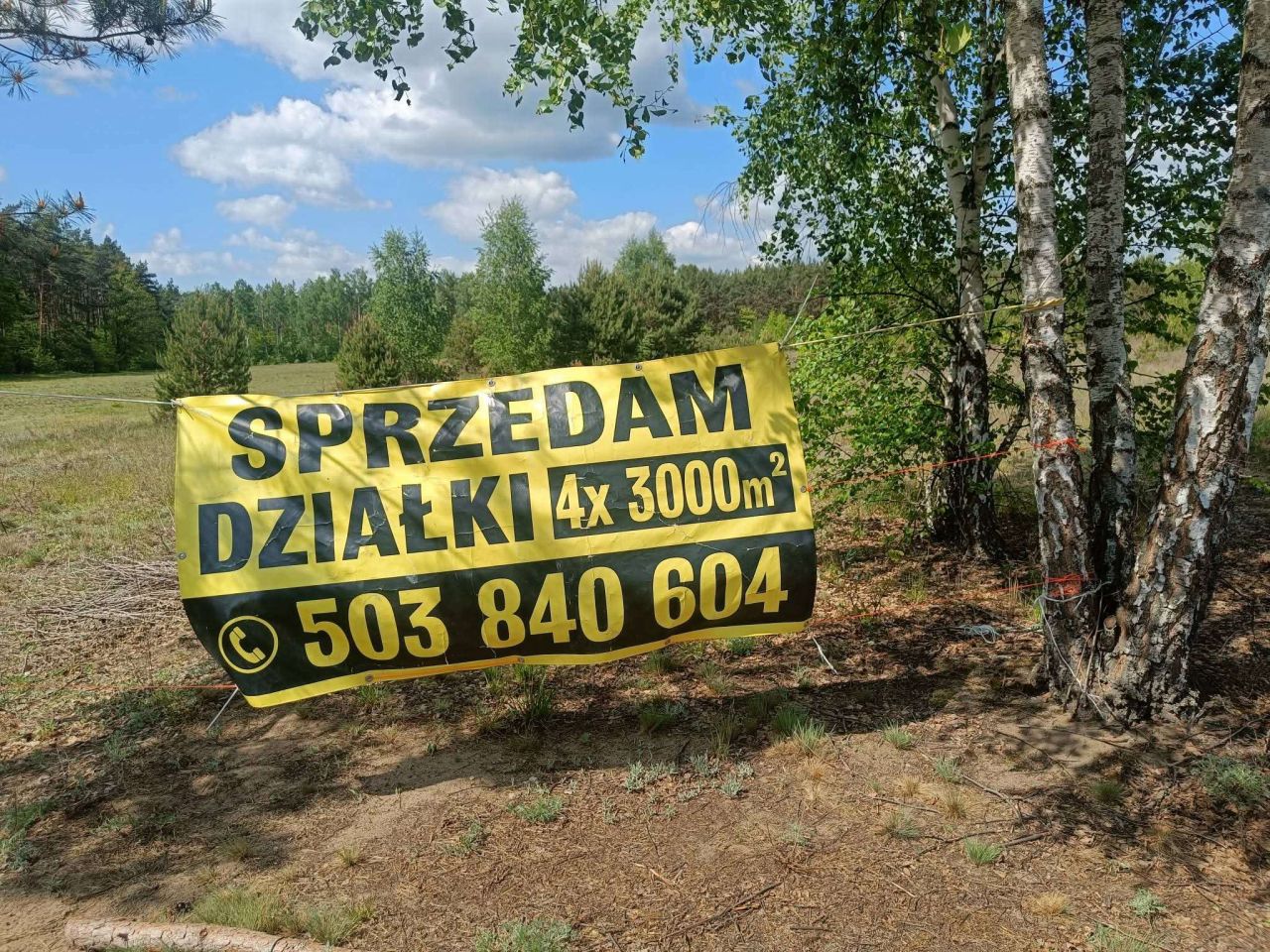 Działka rekreacyjna Dzbądzek. Zdjęcie 5
