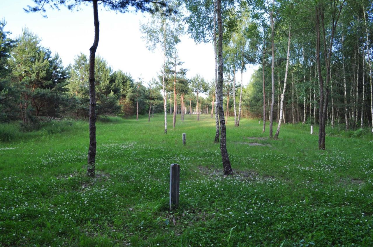 Działka budowlana Słopiec Rządowy-Kolonia. Zdjęcie 6