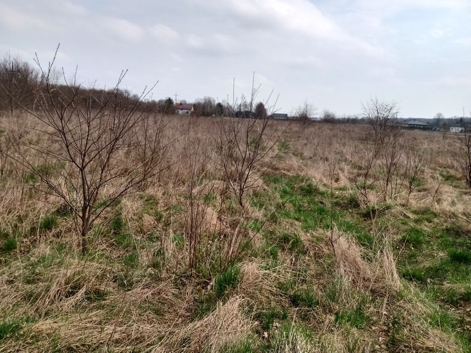 Działka budowlana Toruń, ul. Wiejska. Zdjęcie 3