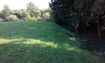 Działka rolna Witoszyńce. Zdjęcie 3