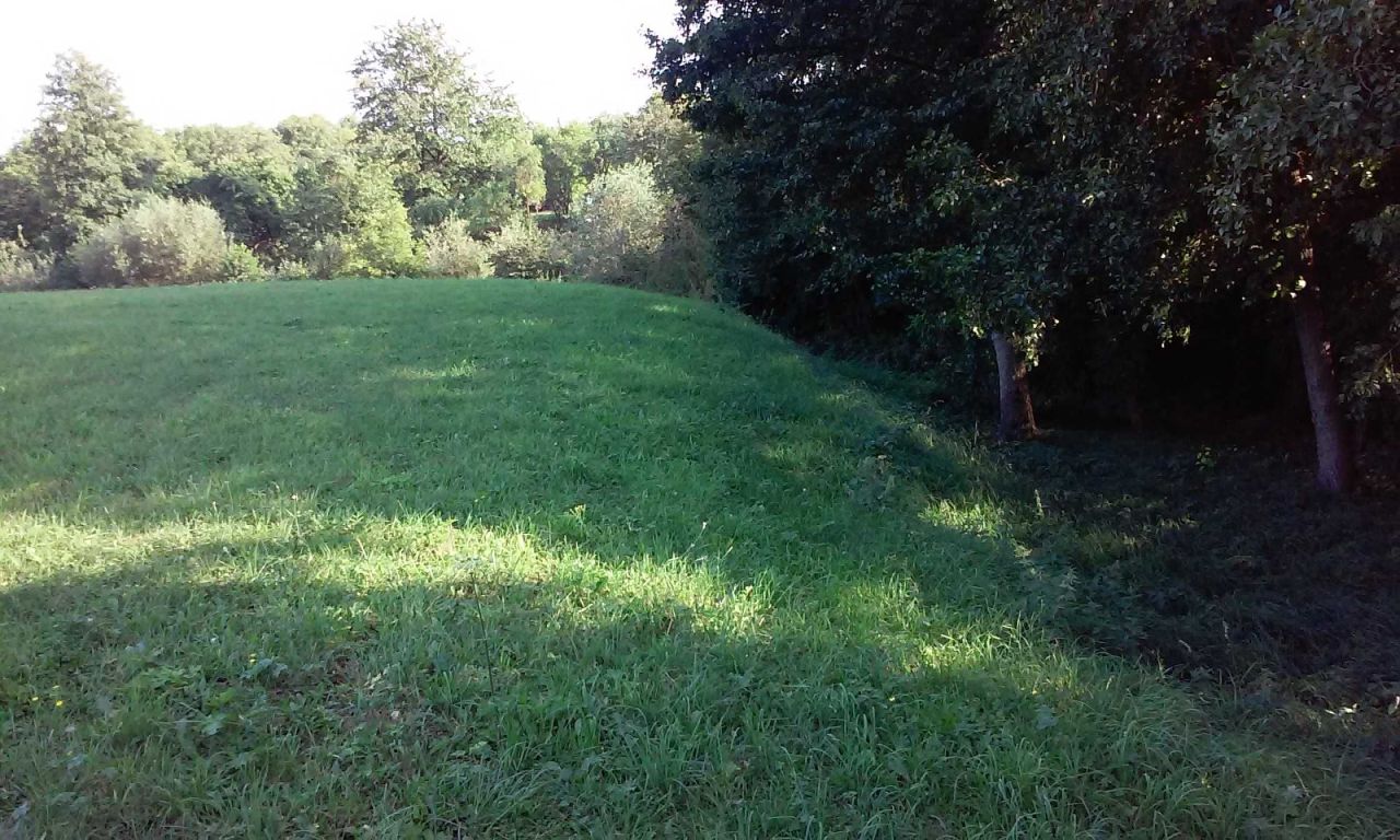 Działka rolna Witoszyńce. Zdjęcie 4