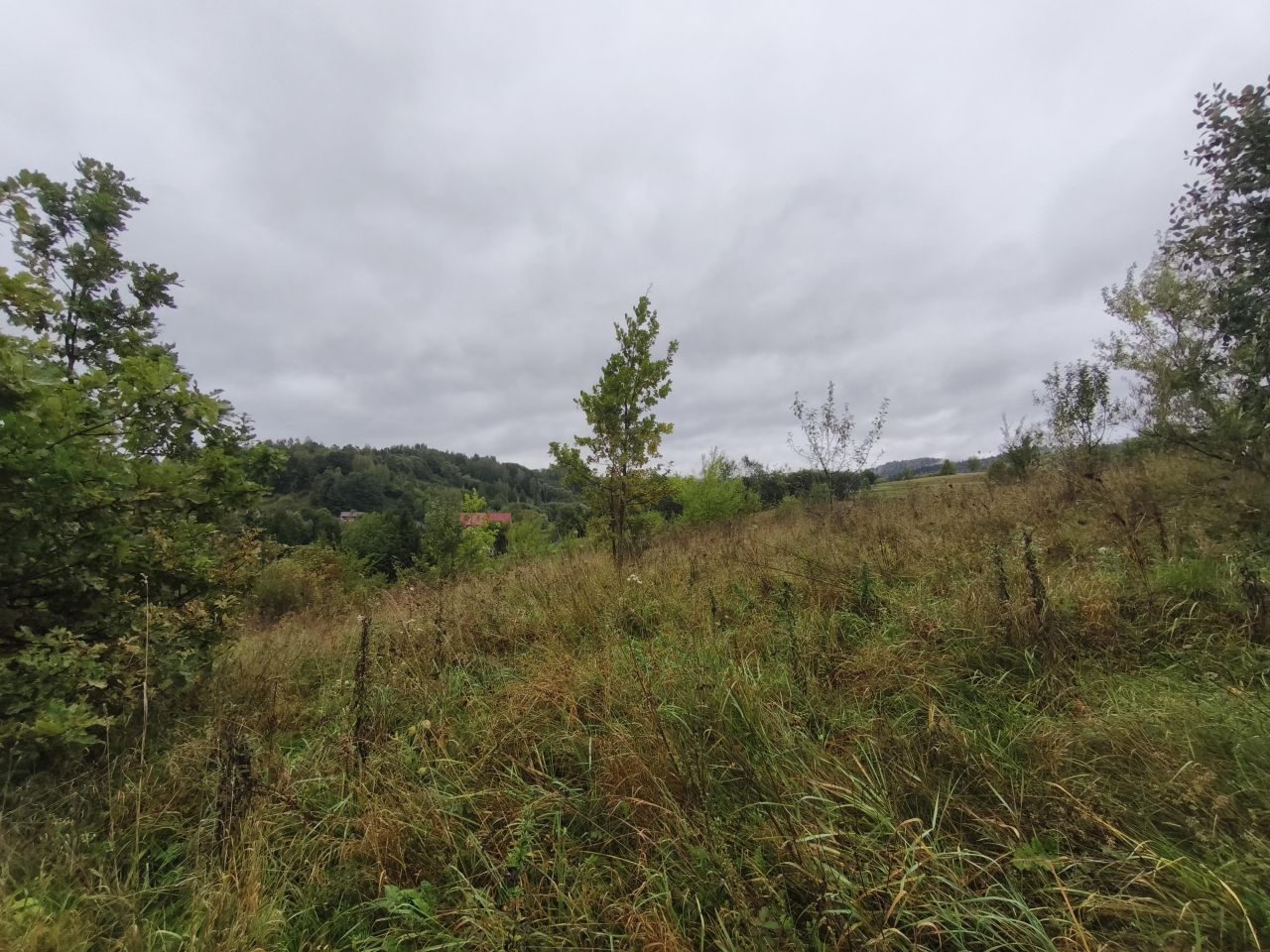 Działka budowlana Bachlawa. Zdjęcie 2