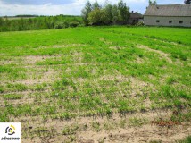 Działka budowlana Psary. Zdjęcie 3