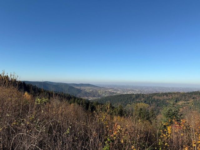 Działka budowlana Myślenice Chełm. Zdjęcie 1