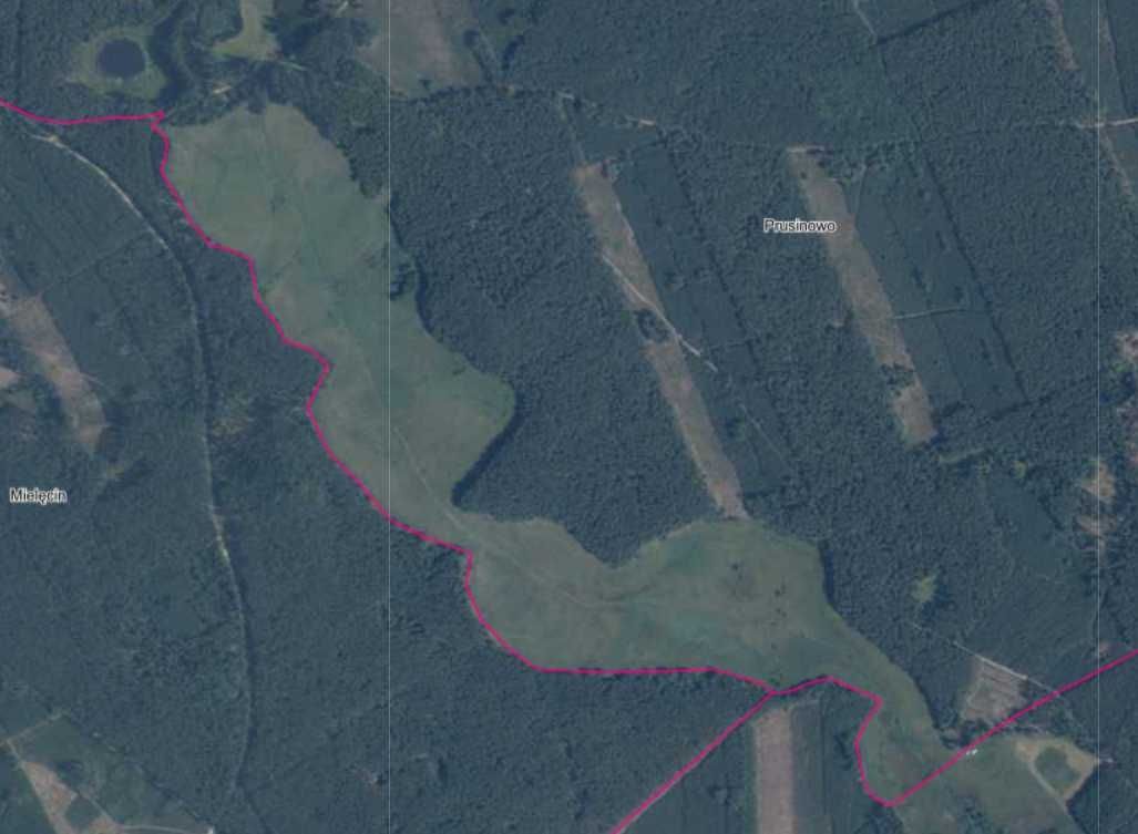 Działka rolna Prusinowo Wałeckie Prusinówko