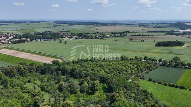 Działka inwestycyjna Strzegom. Zdjęcie 4