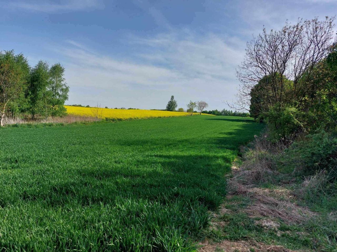 Działka inwestycyjna Lublin Szerokie, ul. Przejrzysta