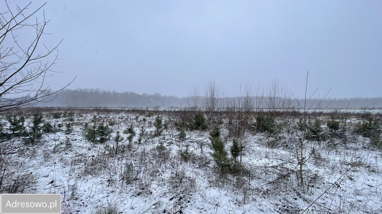 Działka budowlana Siestrzeń. Zdjęcie 18