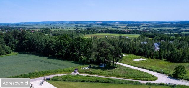 Działka leśna Słupice, ul. Złoty Widok. Zdjęcie 1