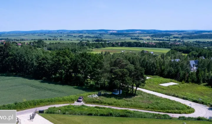 Działka leśna Słupice, ul. Złoty Widok