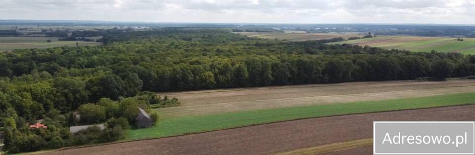 Działka siedliskowa Płonka. Zdjęcie 7