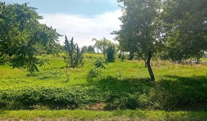 Działka Reczków Nowy