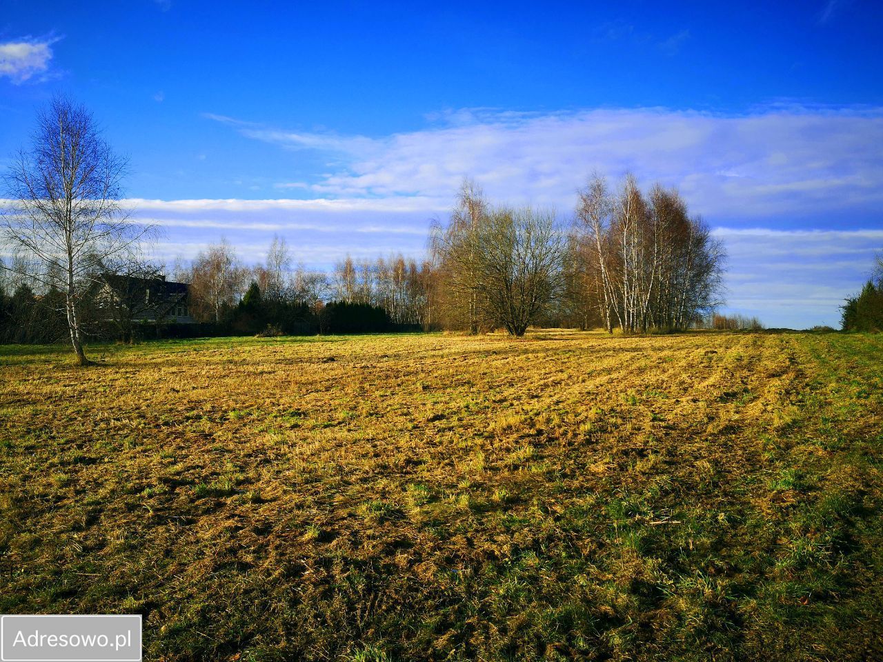 Działka budowlana Zelków, ul. Ojcowska. Zdjęcie 1
