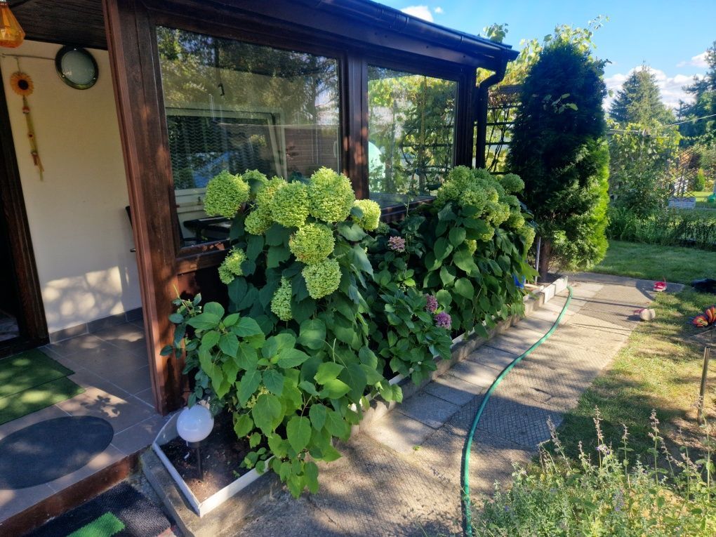 Działka rod Wadąg. Zdjęcie 5