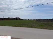 Działka rolna Żaby. Zdjęcie 4