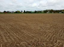 Działka rolno-budowlana Kalisz. Zdjęcie 3