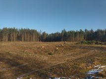 Działka rolna Radom. Zdjęcie 3