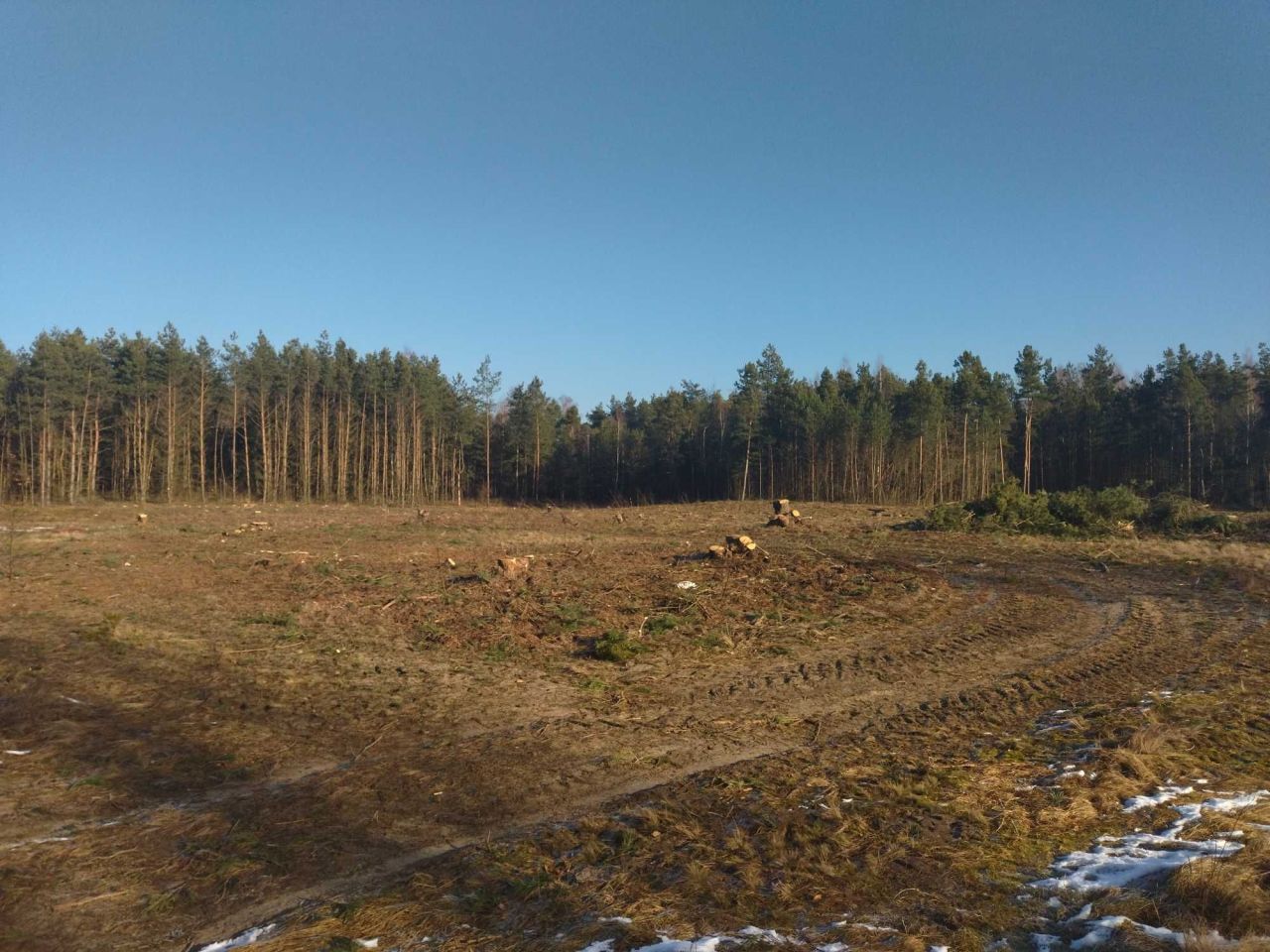 Działka rolna Radom. Zdjęcie 4