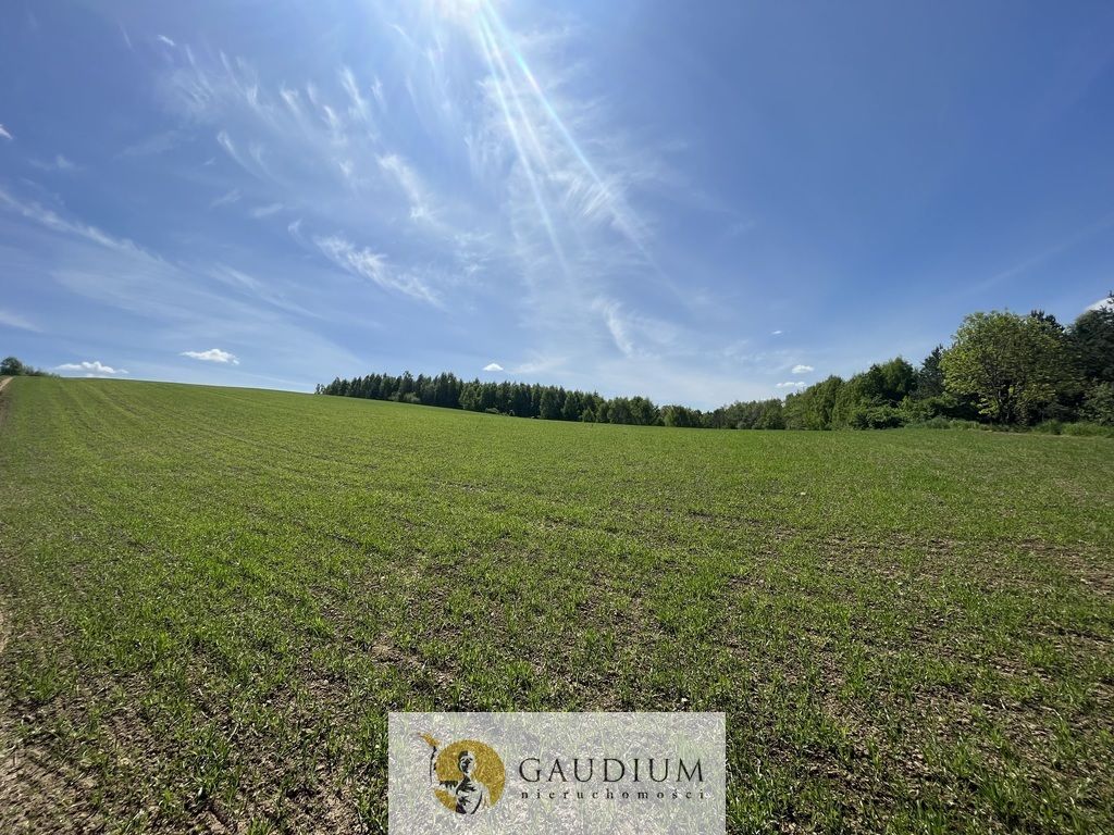Działka Zła Wieś. Zdjęcie 8