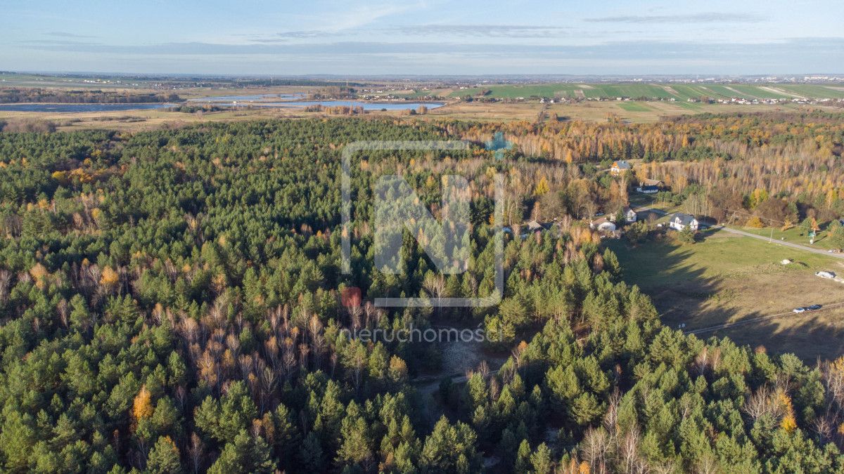 Działka budowlana Lipsko-Polesie. Zdjęcie 4