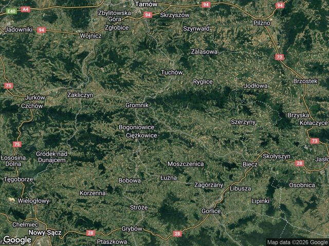 dom wolnostojący, 4 pokoje Rzepiennik Strzyżewski. Zdjęcie 1