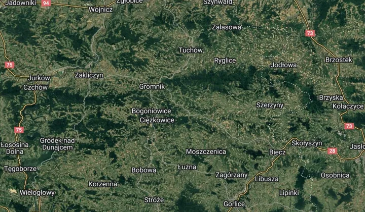 dom wolnostojący, 4 pokoje Rzepiennik Strzyżewski