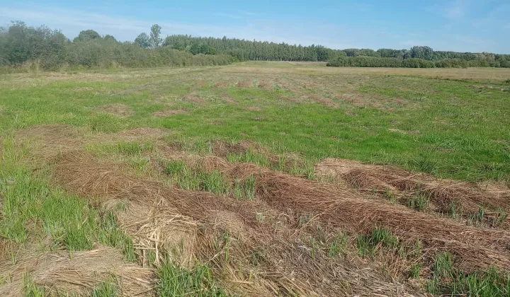 Działka rolna Łukówek Holendernia